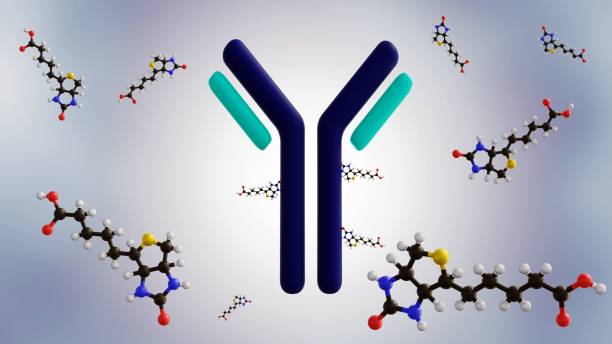 Recombinant-Chemical Platform for Bispecific scFvs