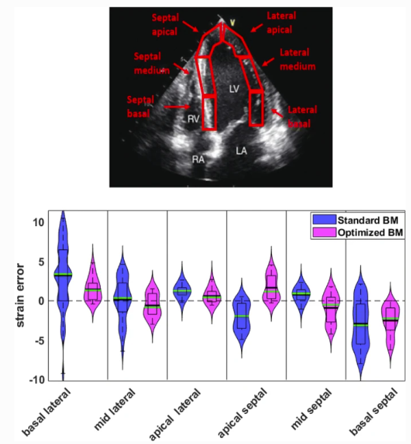 Strain Violin Plots